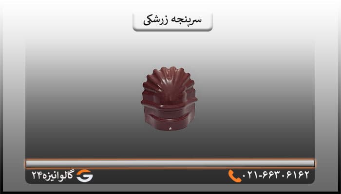 سرپنجه پرچین زرشکی