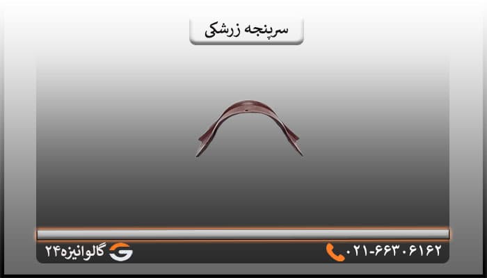 سرپنجه پرچین زرشکی — تصویر ۲