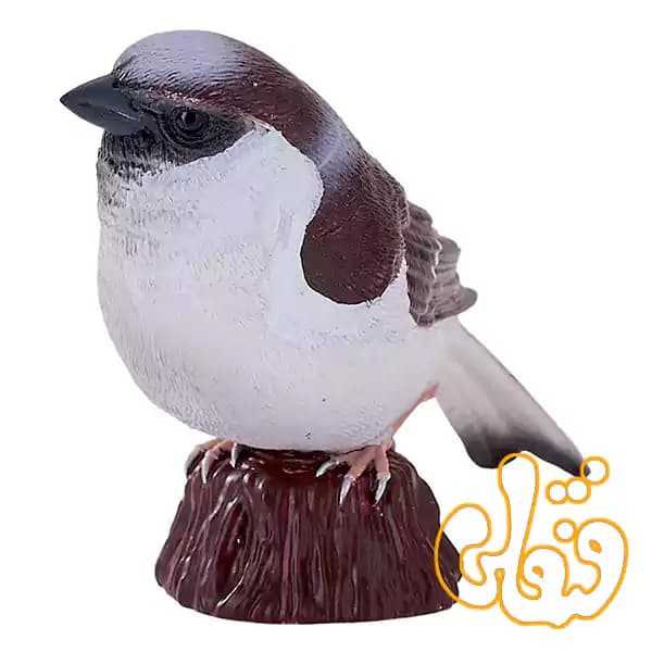 فیگور گنجشک خانگی موجو House Sparrow 381114