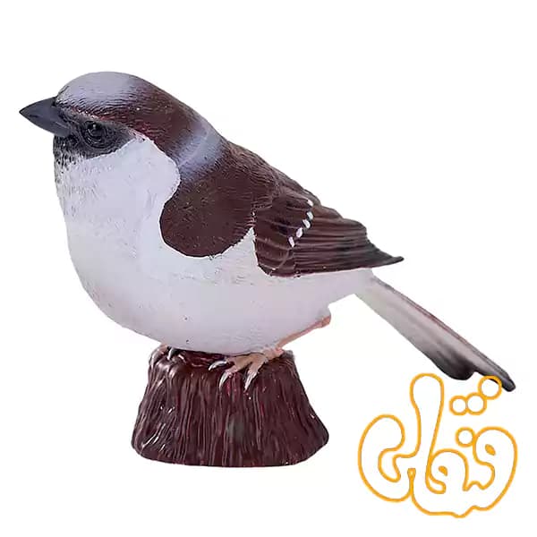 فیگور گنجشک خانگی موجو House Sparrow 381114 — تصویر ۲