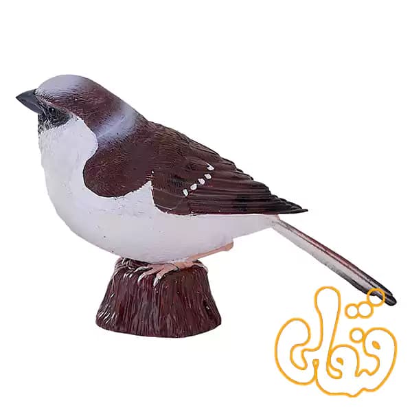 فیگور گنجشک خانگی موجو House Sparrow 381114 — تصویر ۳
