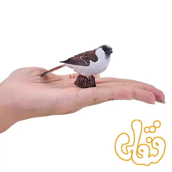 فیگور گنجشک خانگی موجو House Sparrow 381114 — تصویر ۸