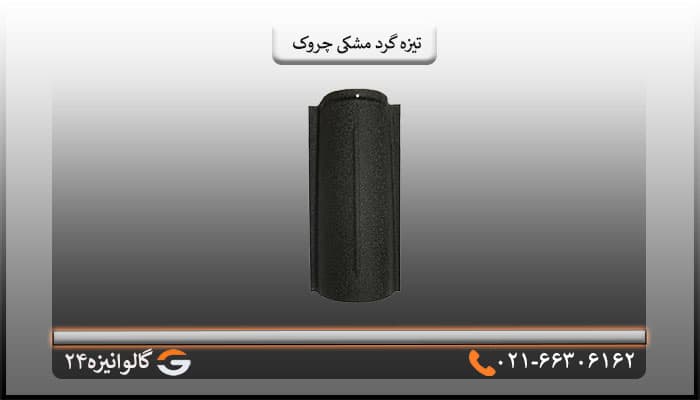تیزه پرچین گرد مشکی چروک — تصویر ۲