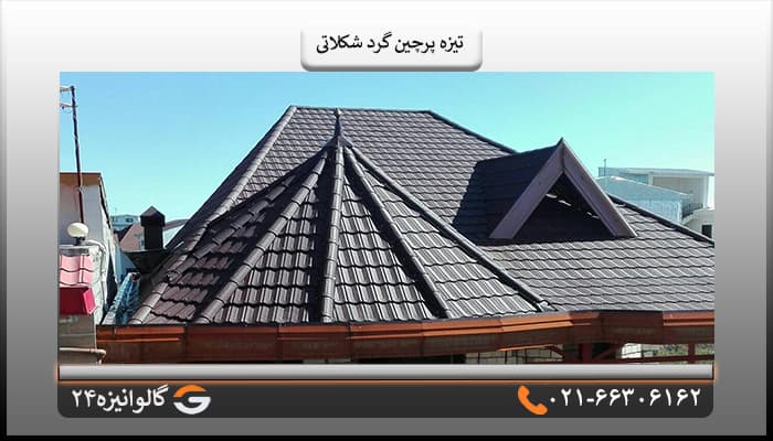 تیزه پرچین گرد شکلاتی — تصویر ۶