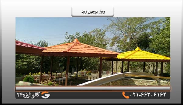 تیزه پرچین زرد — تصویر ۶