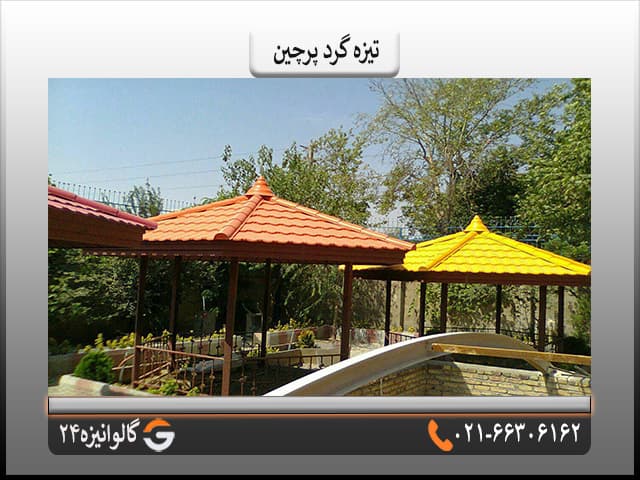تیزه پرچین زرد — تصویر ۵