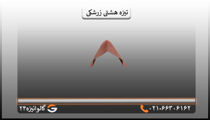 تیزه پرچین هشتی زرشکی — تصویر ۲