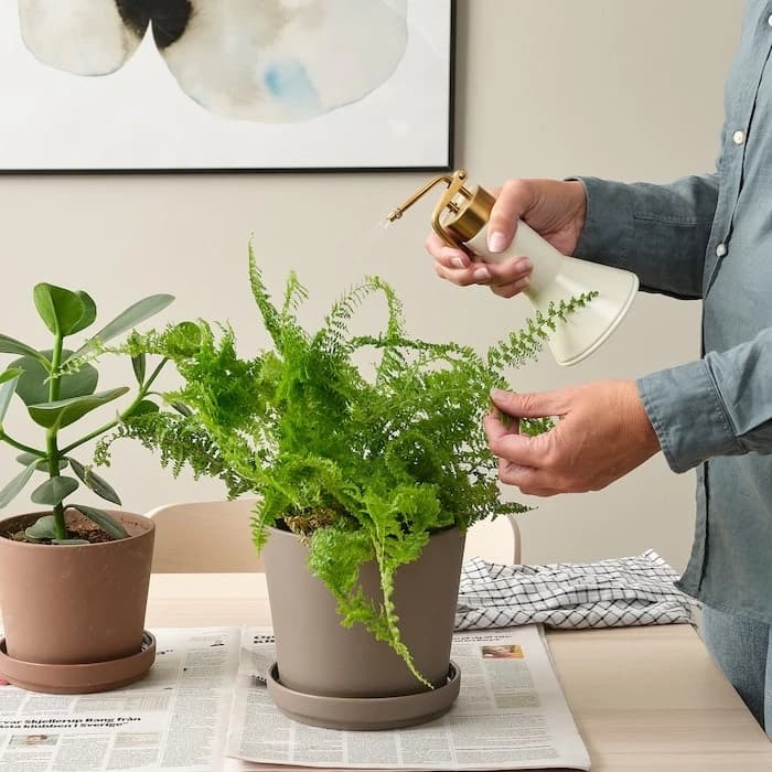 آبپاش دستی ایکیا مدل IKEA-VATTENKRASSE — تصویر ۳