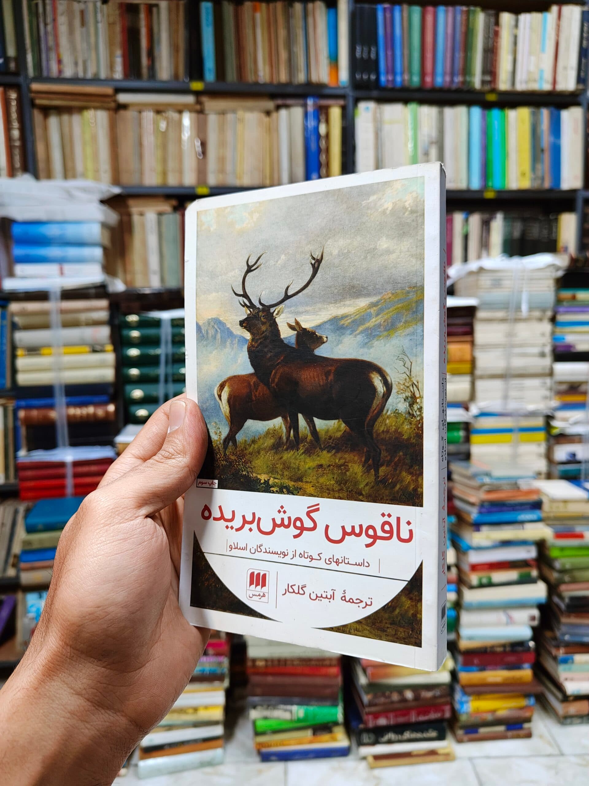 ناقوس گوش بریده (داستان های کوتاه از نویسندگان اسلاو)