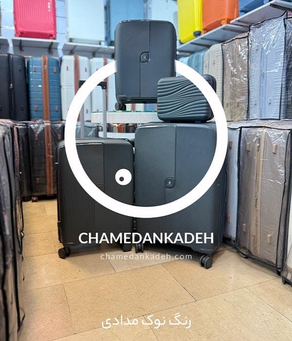 با کیف دستی کویینس + — تصویر ۵