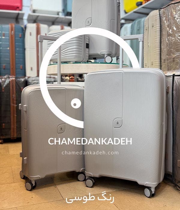 با کیف دستی کویینس + — تصویر ۲