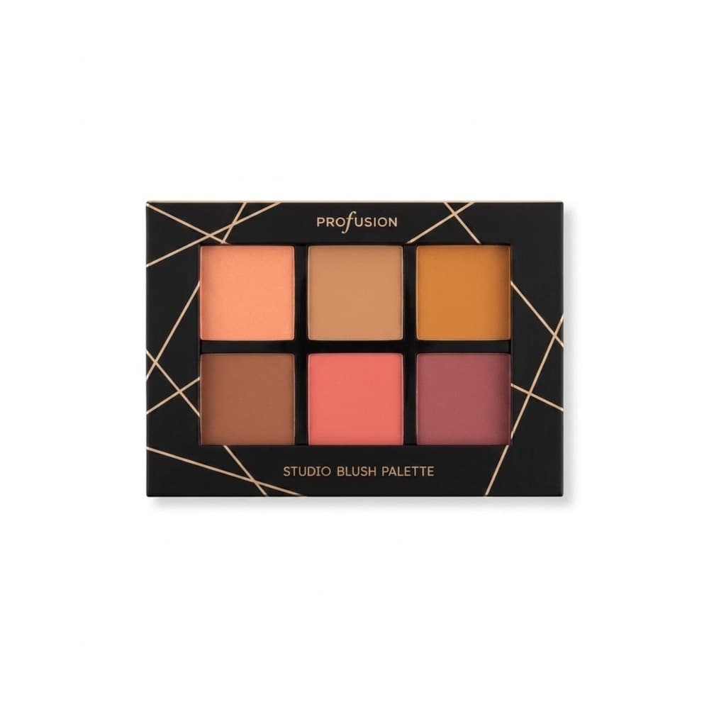 پالت رژگونه ۶ رنگ پروفشن (Profusion) مدل Studio Blush Palette