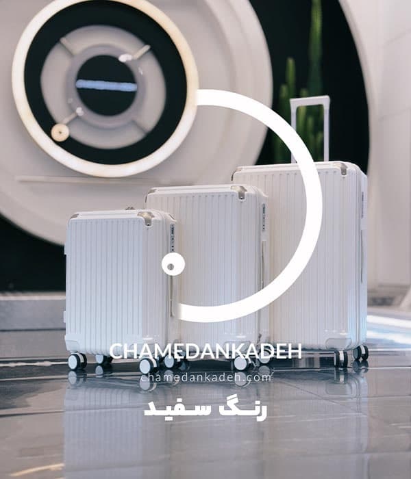 چمدان فلای مون کاپ سایز بزرگ — تصویر ۴