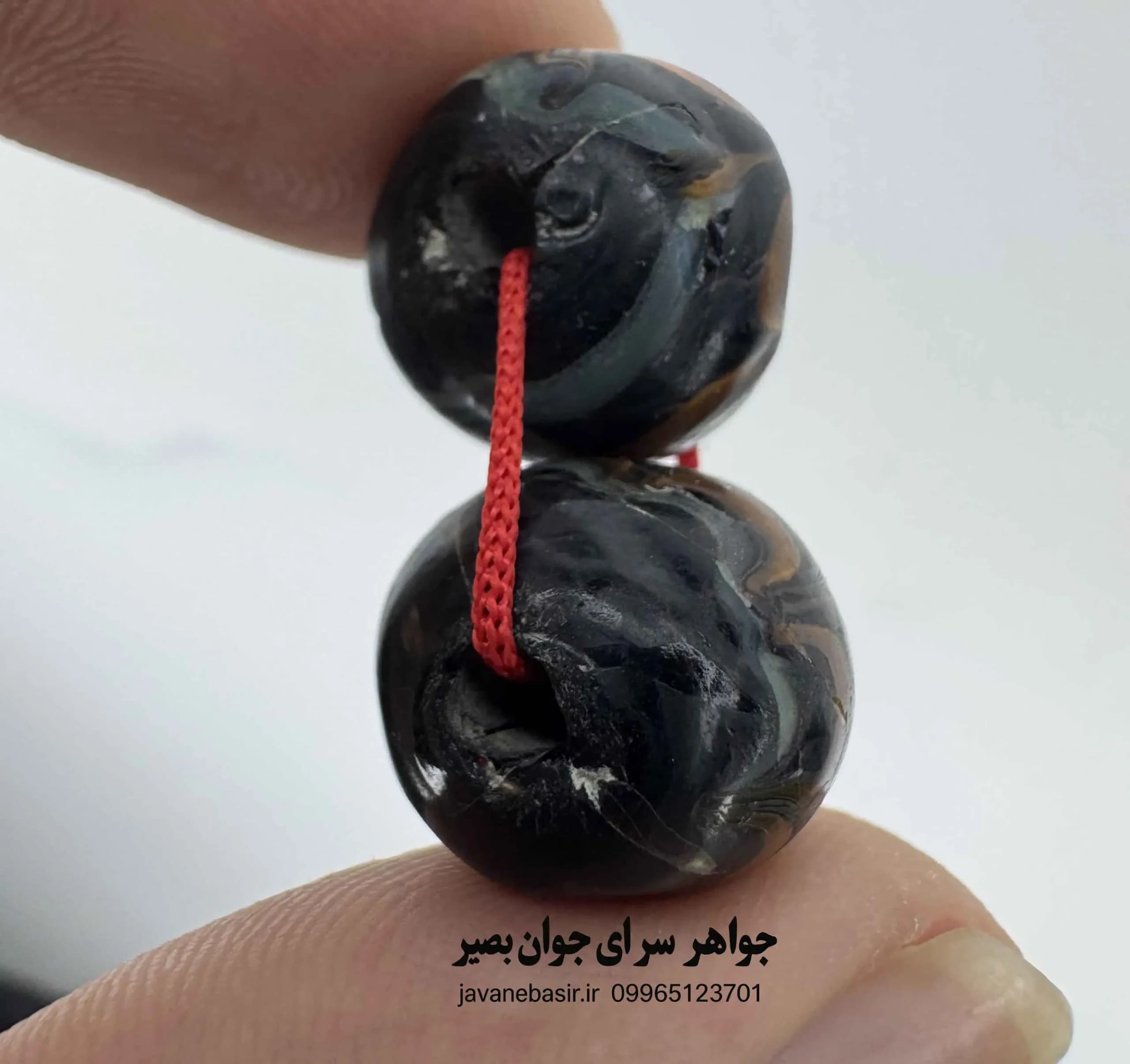جفت مهره چیتو (مینا) – مدل جریان انرژی و جذب رفاه — تصویر ۲