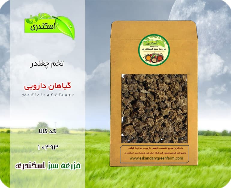 تخم چغندر