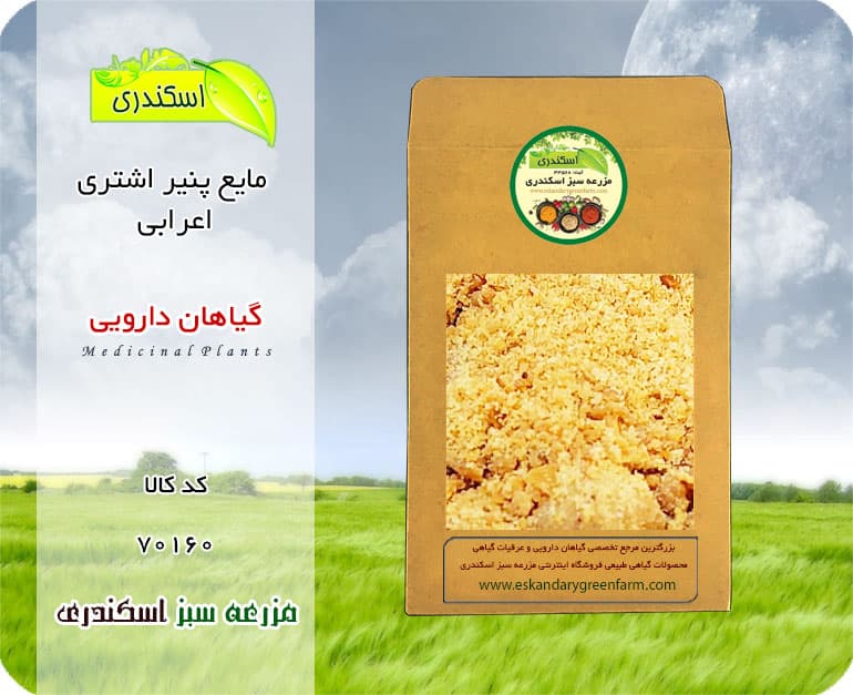 مایع پنیر اشتری اعرابی