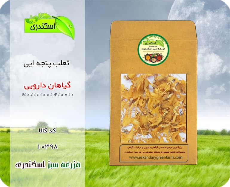 ثعلب پنجه ایی