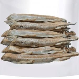 ماهی سمنقور
