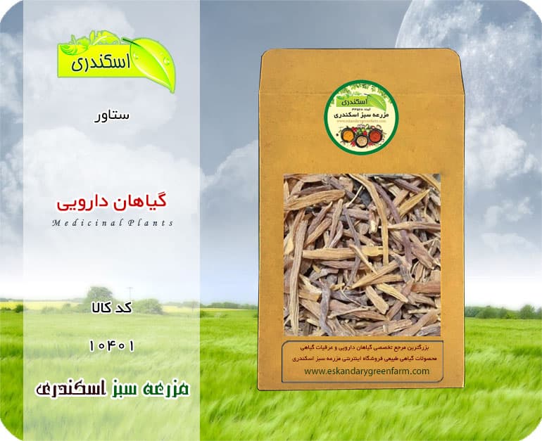 گیاه دارویی ستاور