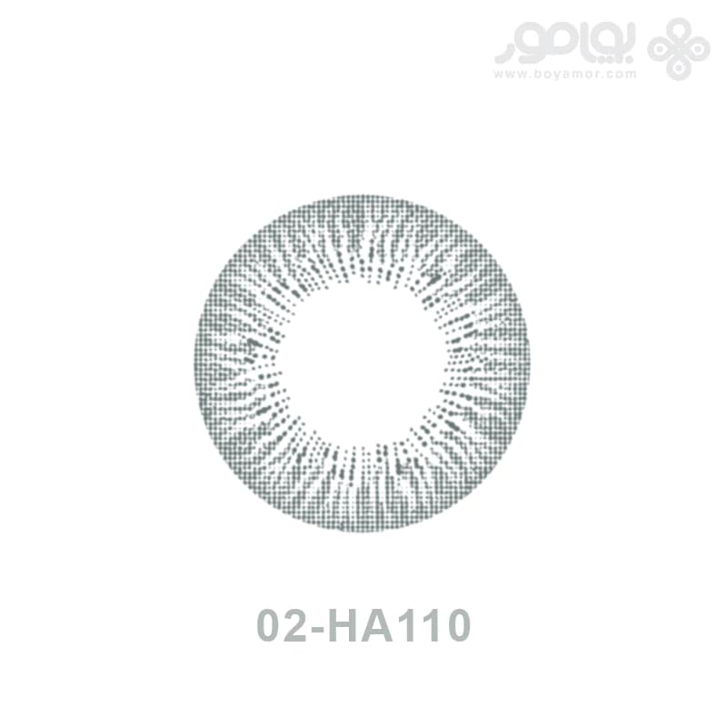 لنز رنگی ماهانه بیوتی شماره 02 کد HA110
