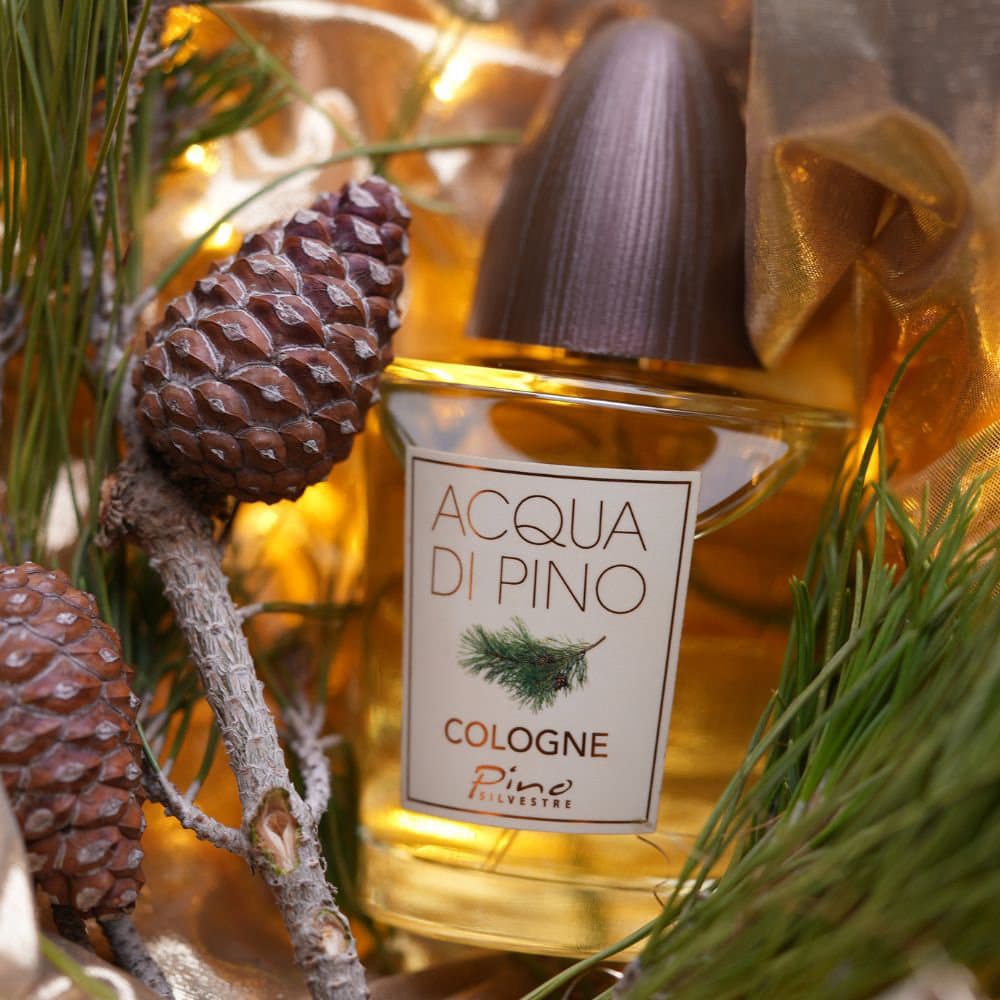 عطر مردانه آکوا دی پینو کلن پینو سیلوستر — تصویر ۳