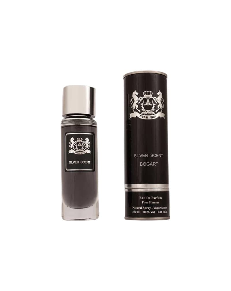 عطر جیبی مردانه استار وی مدل Silver Scent مشابه بوگارد سیلور سنت