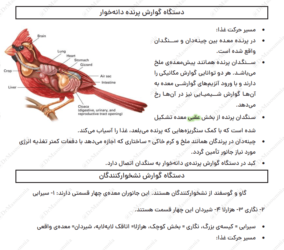 دانلود جزوه زیست شناسی دهم — تصویر ۴