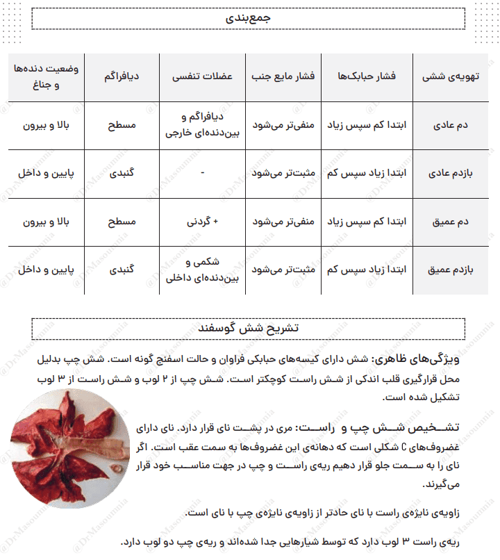 دانلود جزوه زیست شناسی دهم — تصویر ۶