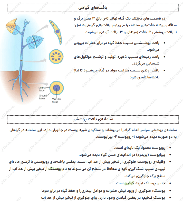 دانلود جزوه زیست شناسی دهم — تصویر ۵