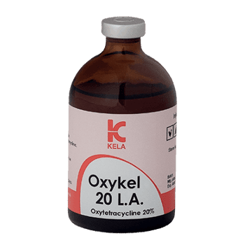 اکسی کل ۲۰ L.A (Oxykel 20% Long Acting) | آنتی‌بیوتیک تزریقی دام با اثر طولانی | ساخت بلژیک | ۵۰ سی‌سی | حافظ وت