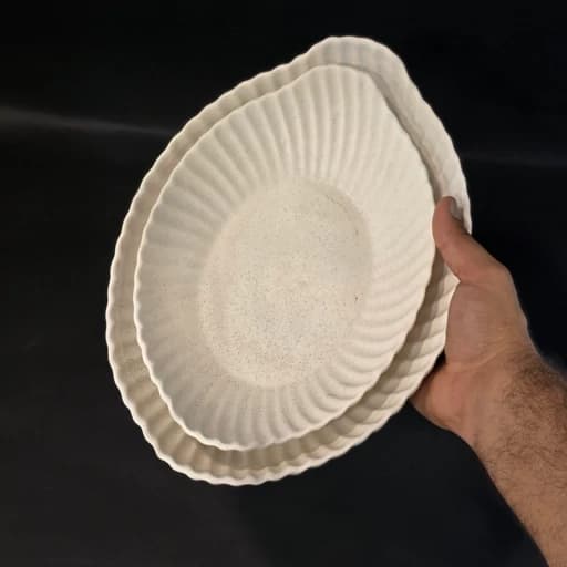 تابه بیضی-مرغ خوری جفتی سرامیکی دلسا مات — تصویر ۷