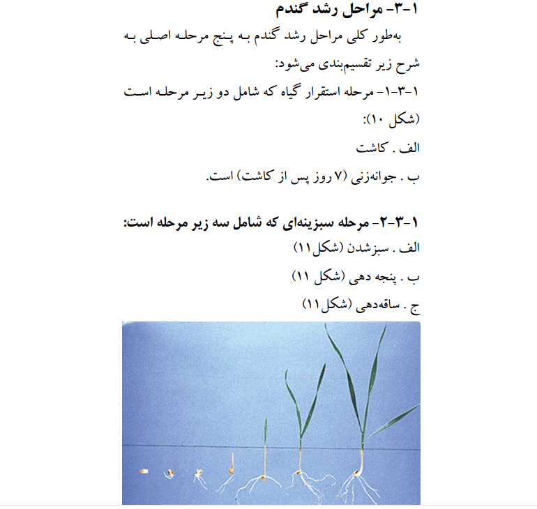 دانلود جزوه راهنمای جامع آبياری گندم — تصویر ۶