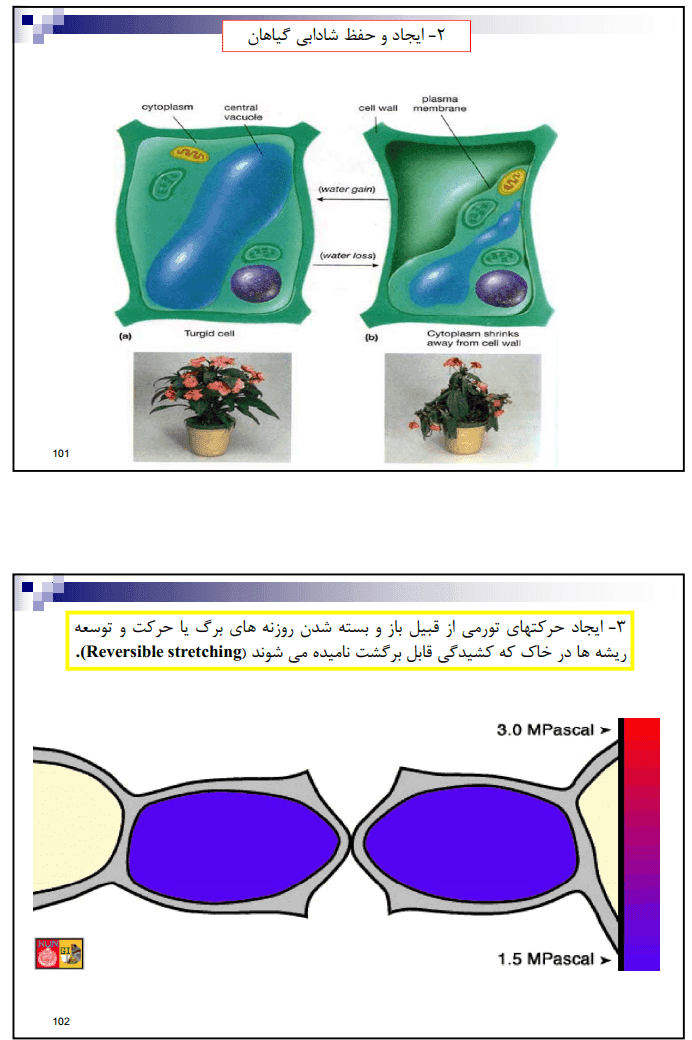 دانلود جزوه رابطه آب خاک و گياه پيشرفته — تصویر ۵