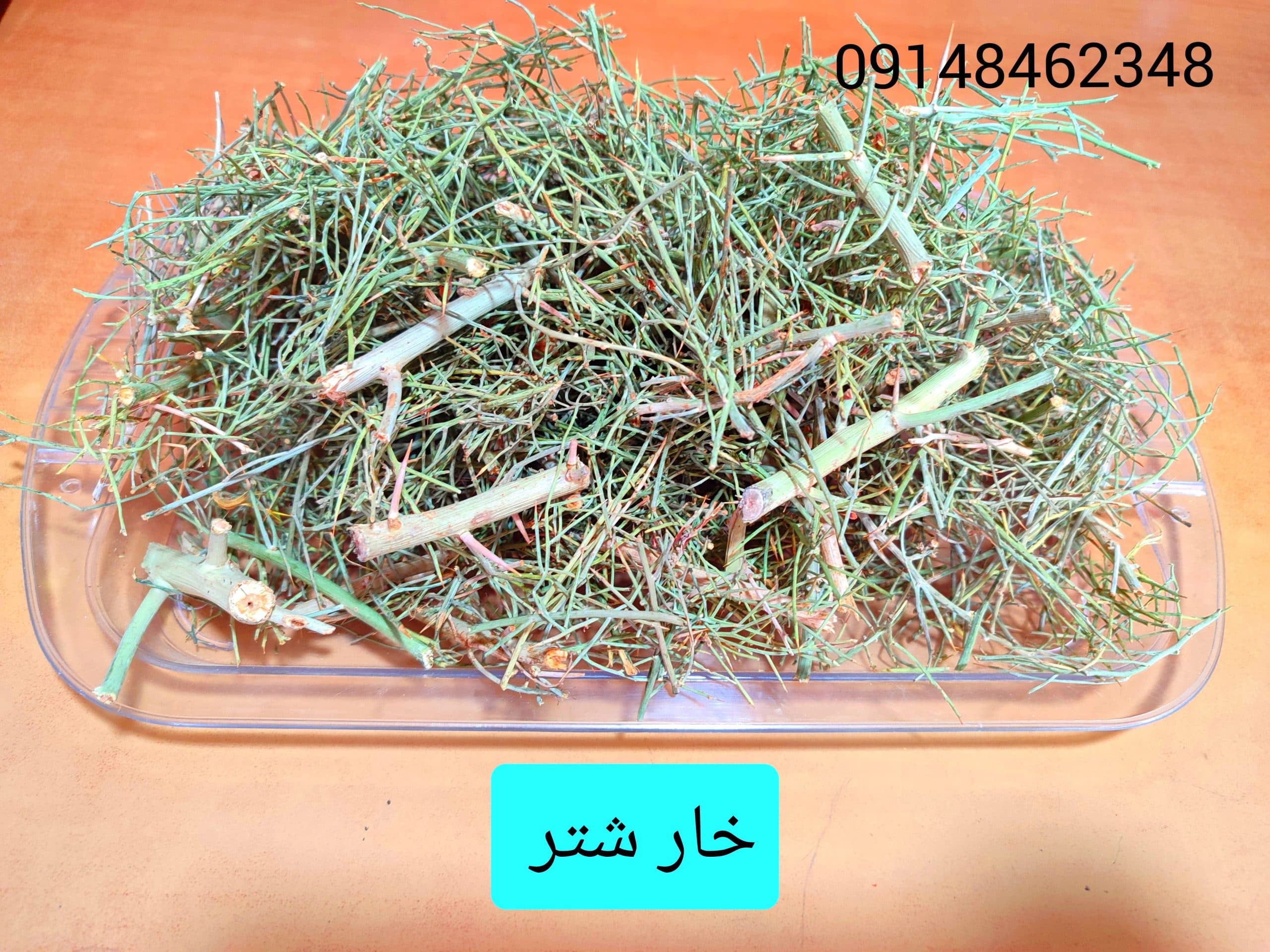 خار شتر ـ ۱۰۰ گرم