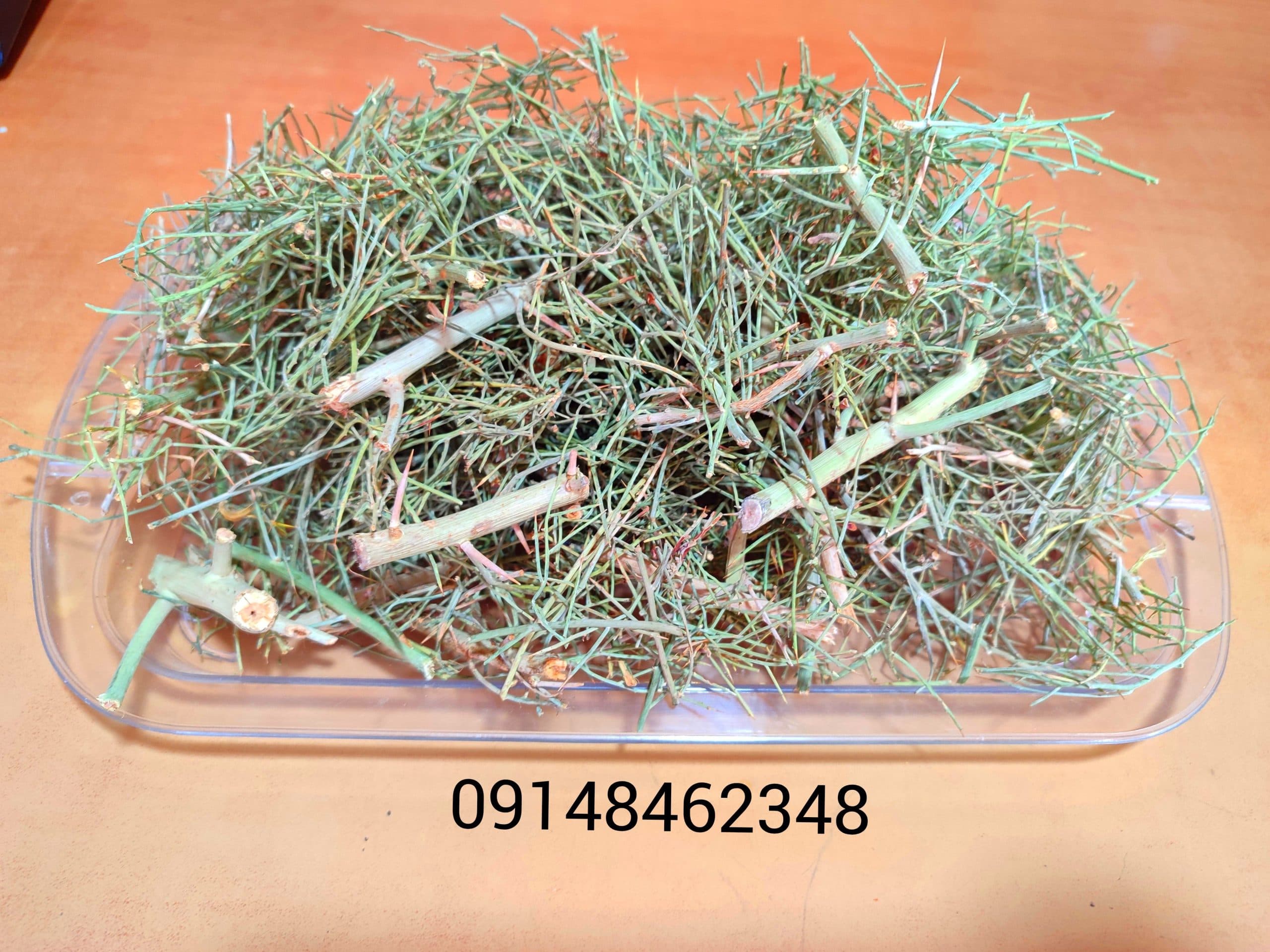 خار شتر ـ ۱۰۰ گرم — تصویر ۲