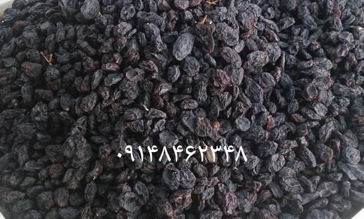 مویز بدون هسته ( ۲۵۰ گرم ) — تصویر ۲