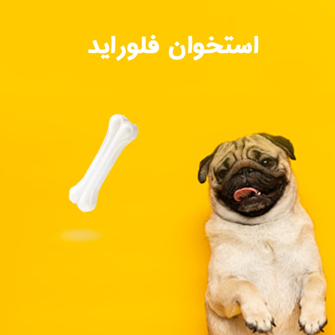 تشویقی سگ استخوان فلورایدی 15 سانتی (14 عددی) — تصویر ۳