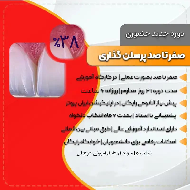 دوره صفر تا صد پرسلن گذاری – آموزش صفر تا صد پرسلن گذاری