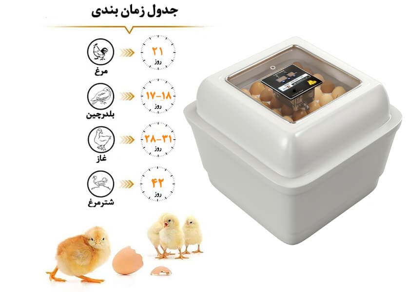 دستگاه جوجه کشی توین 84 تا 100 تایی — تصویر ۷