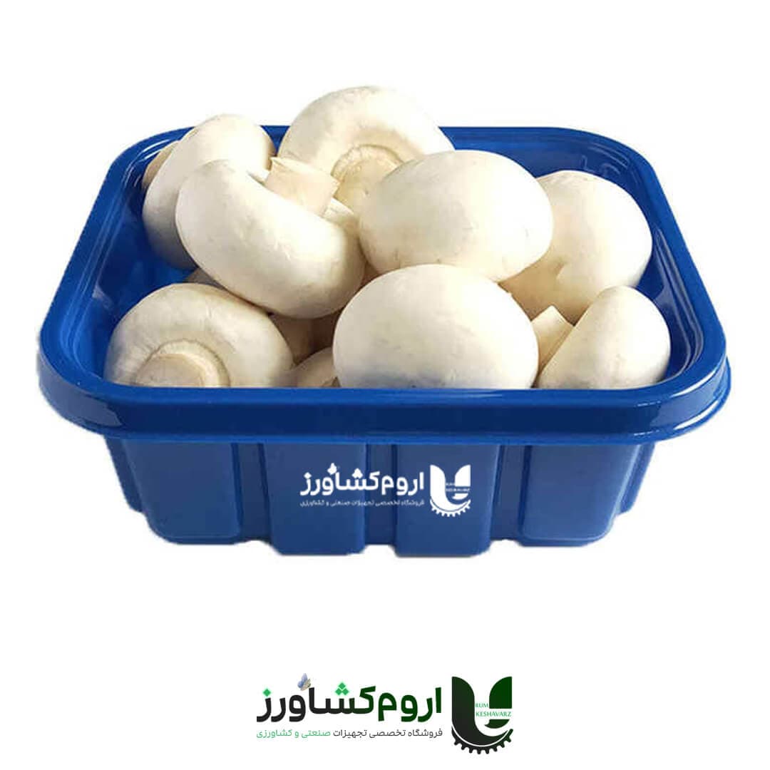 ظرف بسته بندی قارچ 200 گرمی مدل ساده