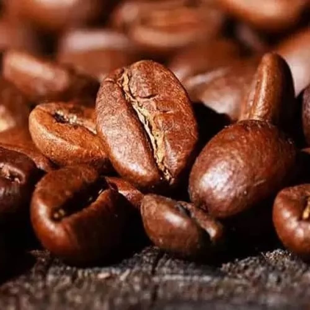بذر قهوه عربیکا خوش عطر کلمبیایی بسته 5 عددی — تصویر ۲
