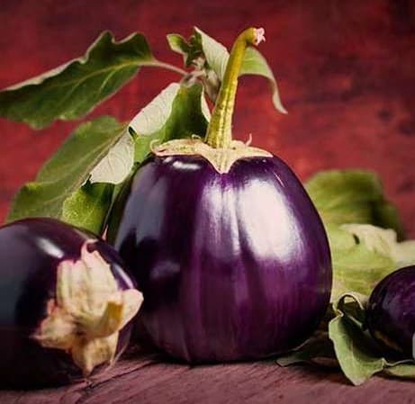 بذر بادمجان دلمه‌ ای 6520 هیبرید جوین بسته 10 عددی