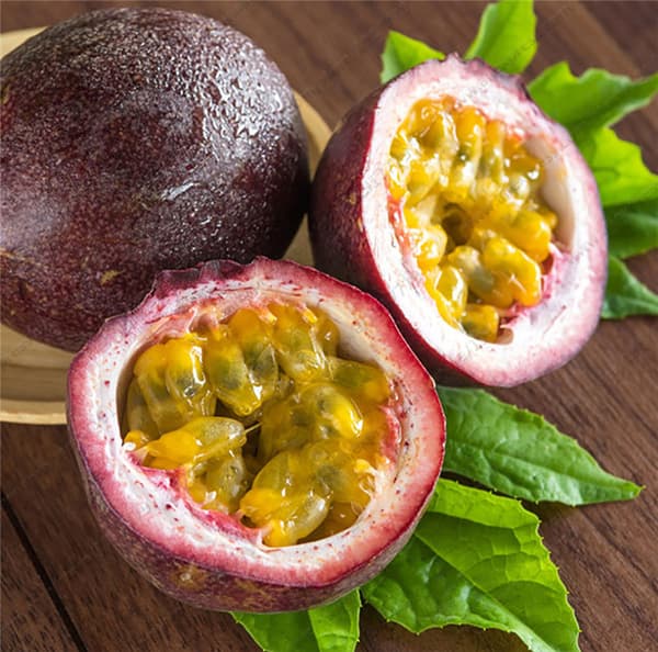 بذر پشن فروت شوالیه سیاه بسته 5 عددی