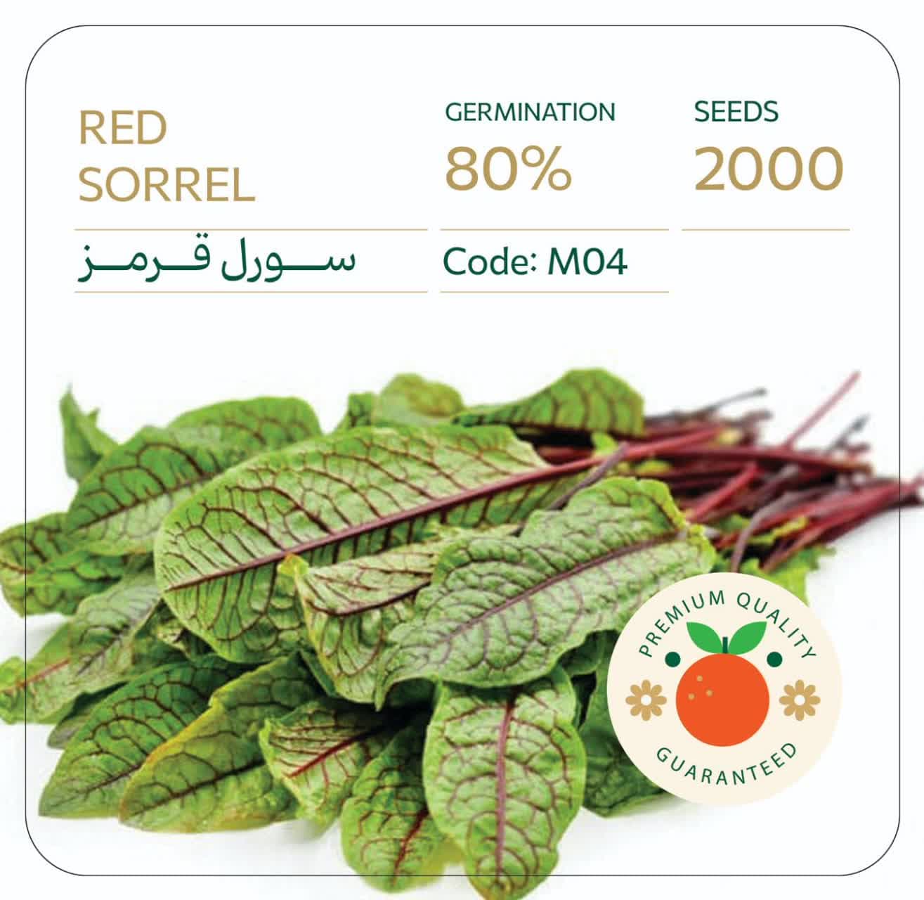 بذر سورل قرمز آمریکایی بسته 2000 عددی راشا ⭐