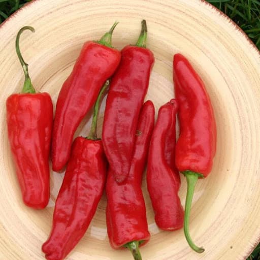 بذر فلفل کاپی قرمز هیبرید جوین 6420 بسته 10 عددی — تصویر ۲