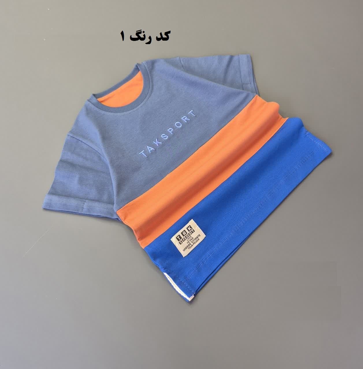 تیشرت پسرانه پرچمی جدید | گروه رنگ 2 — تصویر ۲