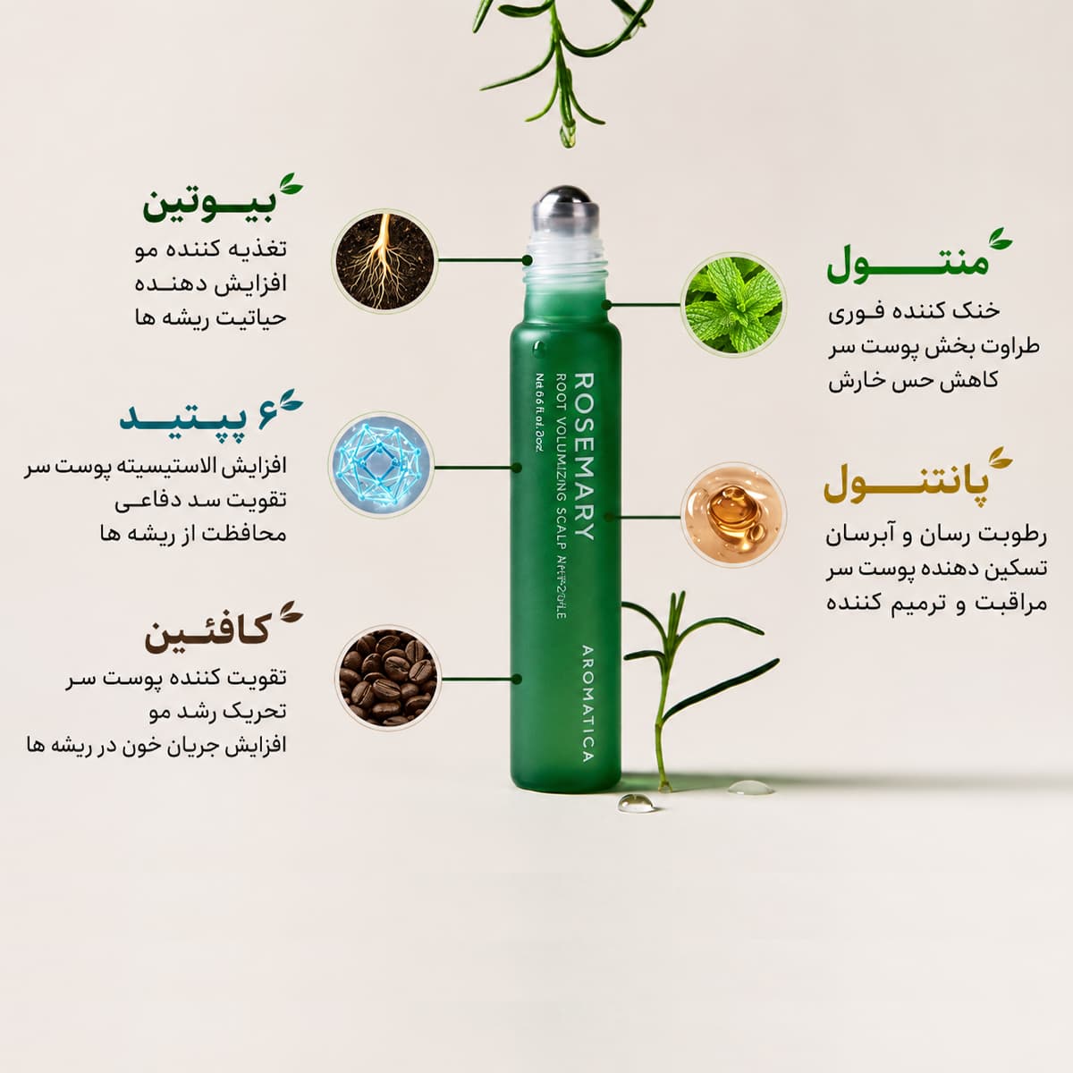 آمپول تقویت‌کننده و حجم‌دهنده ریشه رزماری آروماتیکا AROMATICA — تصویر ۲