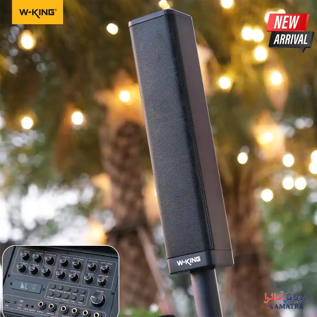 اسپیکر بلوتوثی 400 وات دبلیو کینگ همراه با 2 میکروفن مدل W-King K20Plus — تصویر ۴