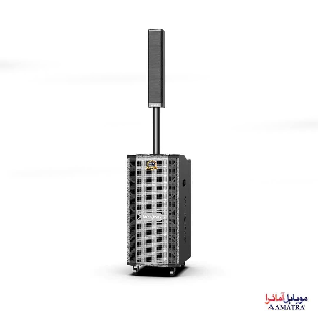 اسپیکر بلوتوثی 400 وات دبلیو کینگ همراه با 2 میکروفن مدل W-King K20Plus — تصویر ۲