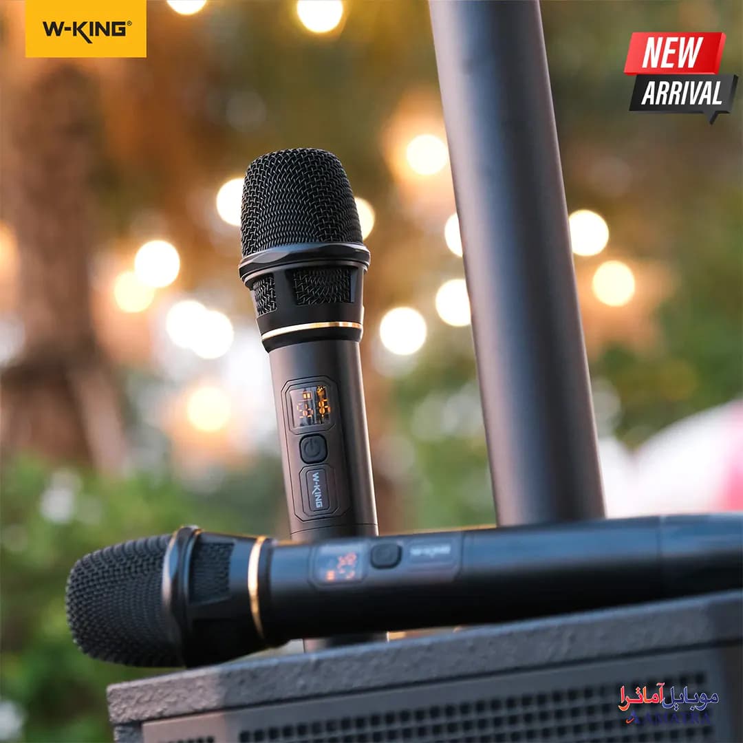 اسپیکر بلوتوثی 400 وات دبلیو کینگ همراه با 2 میکروفن مدل W-King K20Plus — تصویر ۳